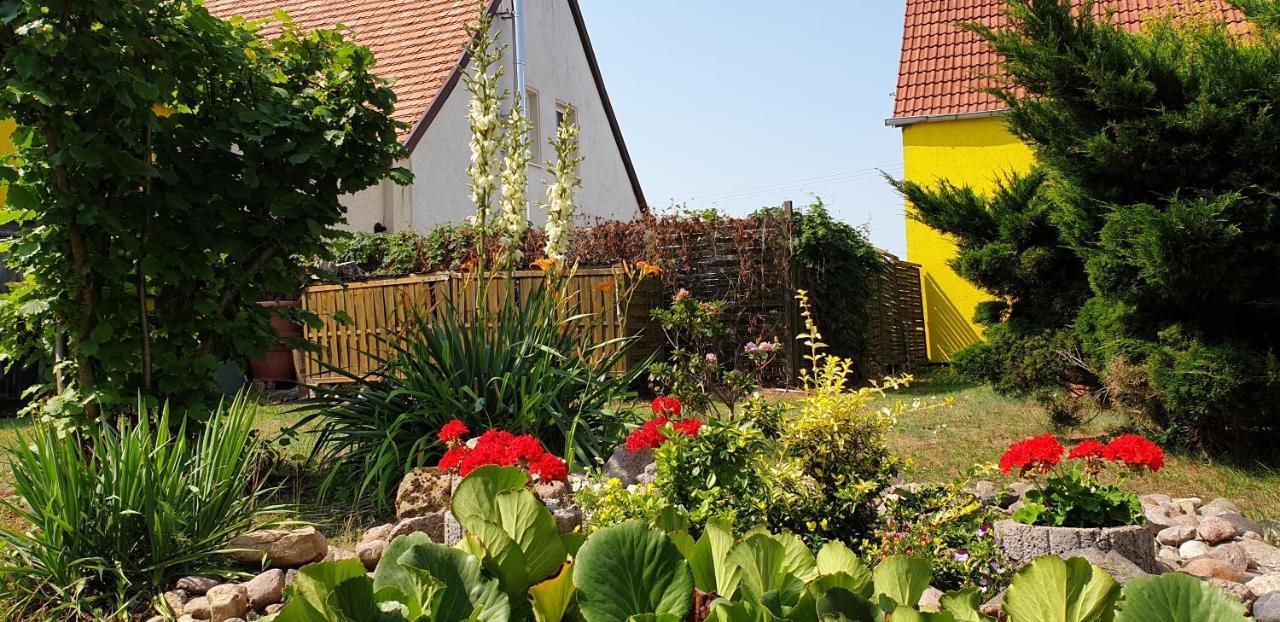 Ferienwohnungen Zur Schamper Mühle Gotthun Exterior foto